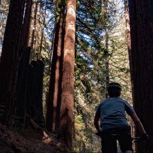 Meet your Posher, Saverio